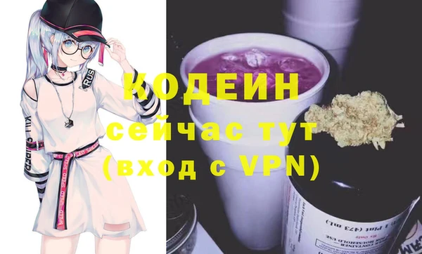 гашик Горняк