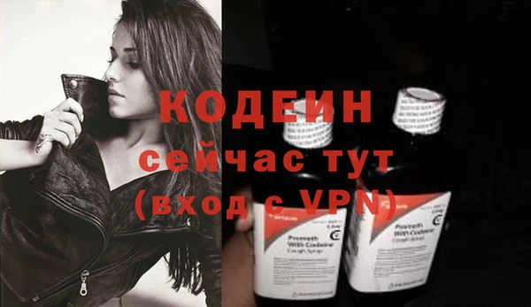гашик Горняк