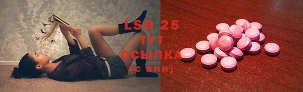 гашик Горняк