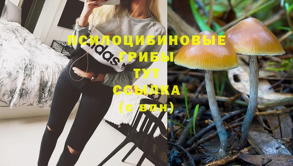 кокс Горнозаводск