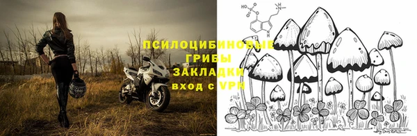 дживик Семикаракорск