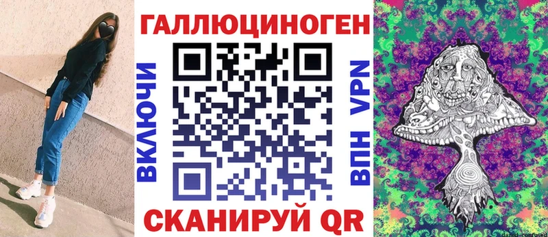 Купить где  Сельцо  Псилоцибиновые грибы мицелий 